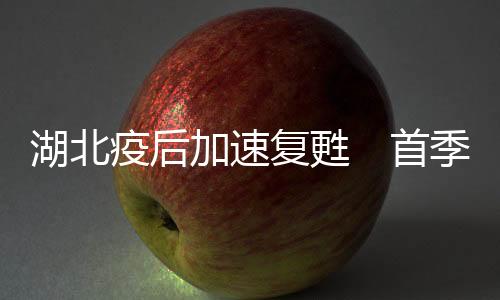 湖北一季度经济反弹快速