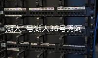 快排公司十年历程，霸屏兔 seo 的崛起与坚守
