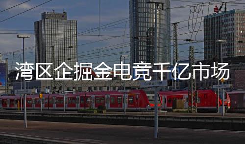 湾区屏幕还可以竖着放