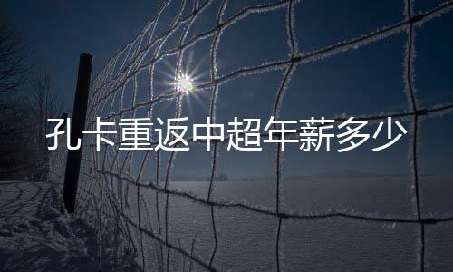 此外还有600万Lei亚尔的签字费