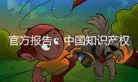 官方报告：中国知识产权公共服务能力和水平不断提升