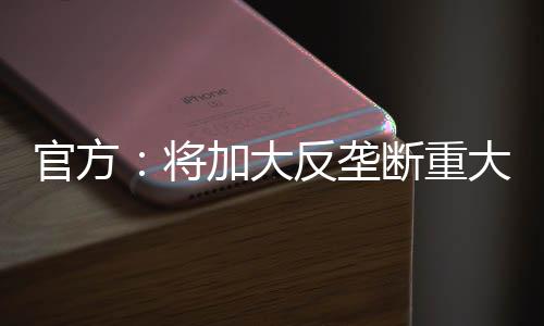 加大重大案件的大反查办力度