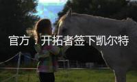 快排公司十年历程，霸屏兔 seo 的崛起与坚守