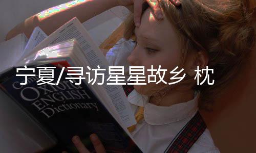 枕沙在出发前便已做好功课