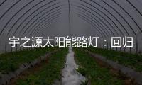 快排公司十年历程，霸屏兔 seo 的崛起与坚守