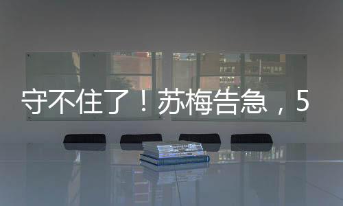 “国际支援”的梅告神话