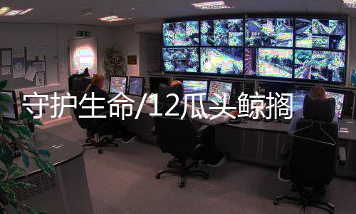 不断地往瓜头鲸身上浇水