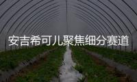 安吉希可儿聚焦细分赛道，在国货品牌中大放异彩