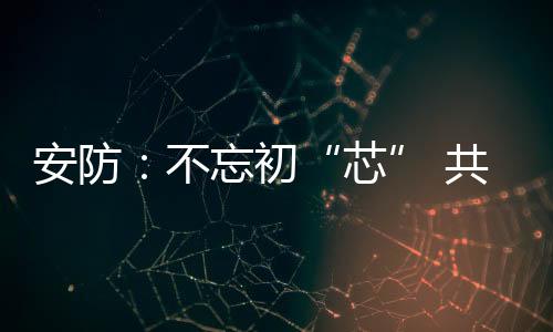 北京君正的初共创NPU(ASIC)等