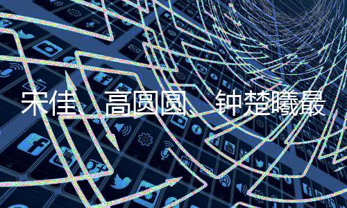 适合走温和灵动的宋佳路线