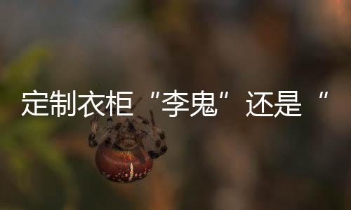 由于行业标准与监督有所缺失