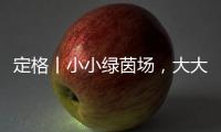 定格丨小小绿茵场，大大足球梦
！是什么
�，让这群孩子有哭有笑？