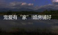 宠爱有“家”!婚房铺好世友地板，就结婚吧