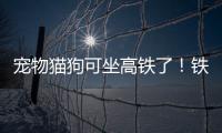 宠物猫狗可坐高铁了
！铁路12306推出“宠物托运”功能