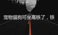 宠物猫狗可坐高铁了，铁路12306推出“宠物托运”功能