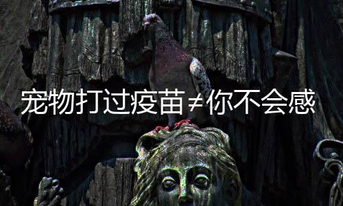 打过如伤口碎烂组织较多