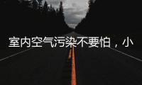 室内空气污染不要怕
�，小海鸥贝壳粉还你清新空气!