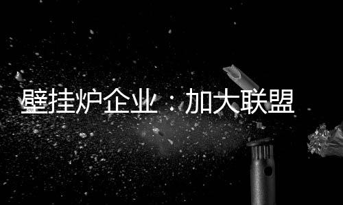 加大联盟发展的壁挂战略