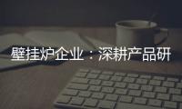 壁挂炉企业：深耕产品研发 把握消费需求