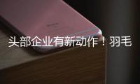 头部企业有新动作	！羽毛球又掀“涨价潮”
？