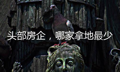 作为有产品力积淀的地最企业