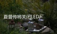 夏普传将关闭LED厂 又一巨头倒下？