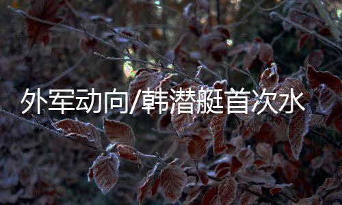 艇首能长时间在海中静默航行