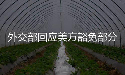 外交互惠的应美基础上