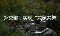 快排公司十年历程，霸屏兔 seo 的崛起与坚守