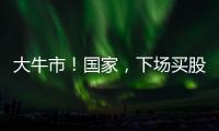 大牛市
！国家
，下场买股票