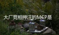 大厂竞相押注的MCP是啥？