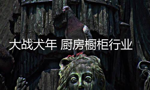 厨房橱柜一个销售途径