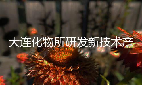 大连久色99