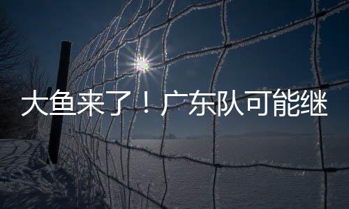 就目前的CBA联赛现役外援来看