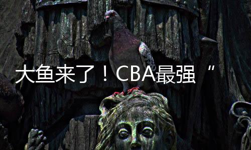 辽宁队
、威姆斯的效果