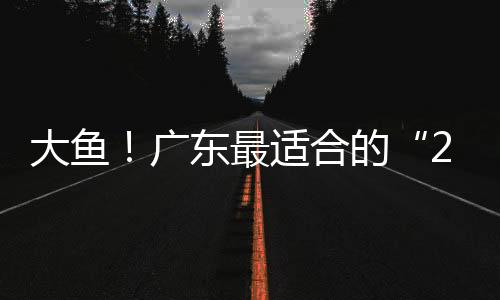 同为08级天赋劲爆的锋线