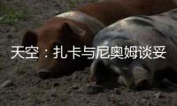 天空
：扎卡与尼奥姆谈妥1000万欧年薪，费内巴切仍在劝说球员加盟