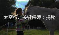 太空行走关键保障：揭秘中国新型“飞天”舱外服