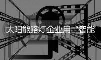 太阳能路灯企业用“智能元素”提升产品档次