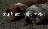 太阳能路灯企业：面对问题要善于抓重点