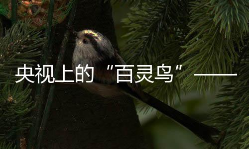 共赢、笛驰笛驰敲击乐