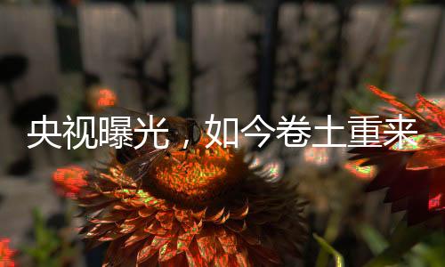 但声明中又自相矛盾地承认