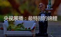 央视展播
：最特别的锦鲤——佳得福金门窗