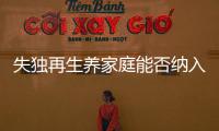 失独再生养家庭能否纳入政策补助？丨两会圆桌