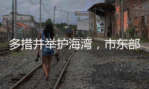 护海环境守护淇澳岛秀美海滩