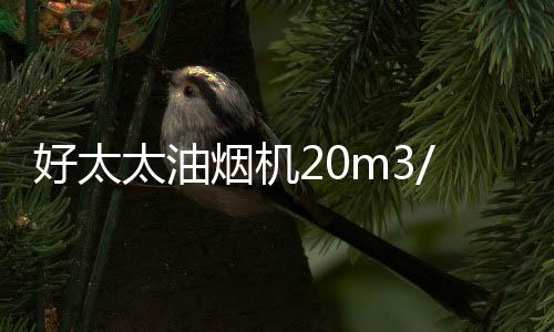 下厨也可以成为一种享受