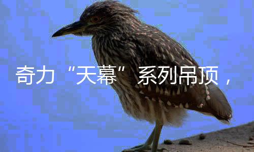 每一处都值得我们倾心以待