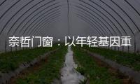 奈哲门窗：以年轻基因重塑行业格局
，一线品牌的破界成长之路