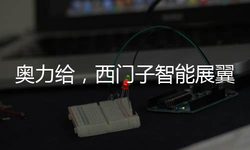 加上德系工艺的房油精益求精
