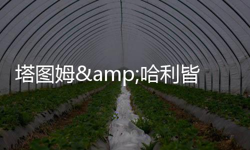 比赛就会变得更容易